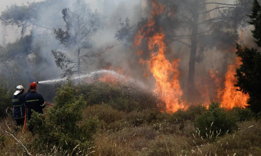 Φωτιά τώρα στη Ζήρεια Αχαΐας – Πάνω από 50 πυροσβέστες στο σημείο